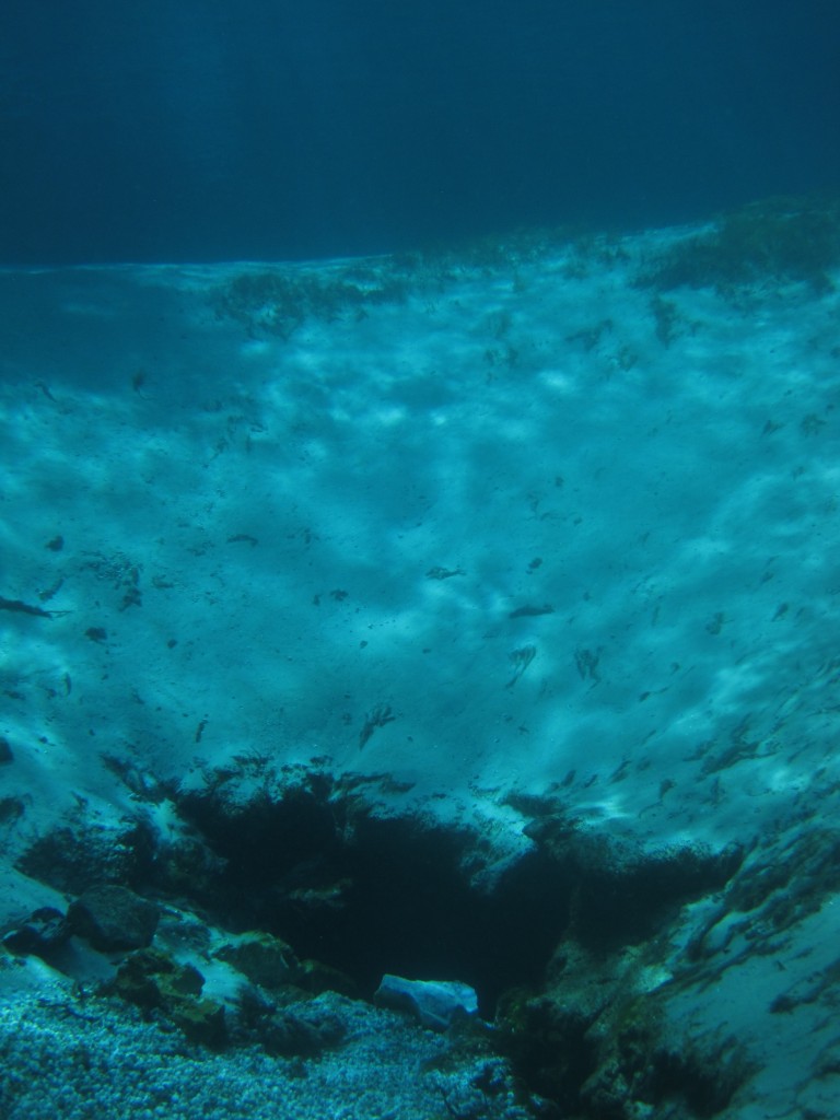 One of Silver Glen's spring vents.